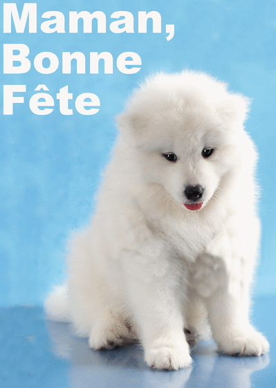 Carte Maman, Bonne Fête Et Petite Chien : Envoyer une 